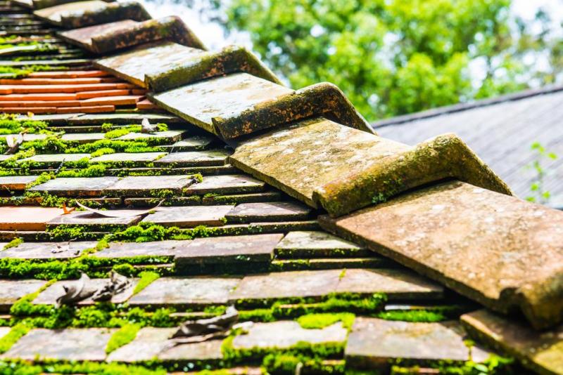 D&eacute;moussage de toiture &agrave; Pinon, prot&eacute;gez durablement votre toit